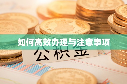 涞水如何高效办理与注意事项