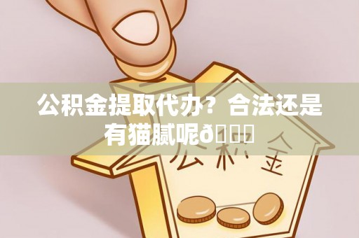 涞水公积金提取代办？合法还是有猫腻呢😏