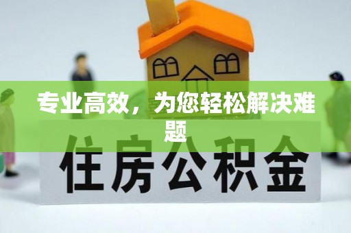 涞水专业高效，为您轻松解决难题