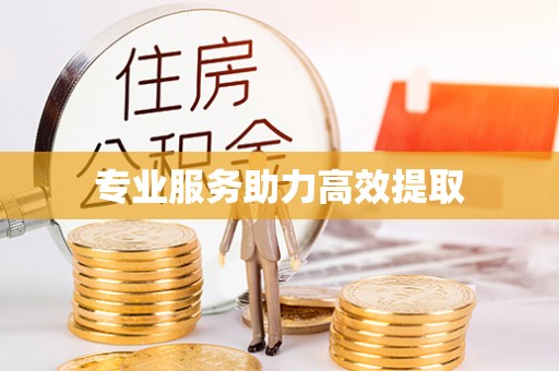 涞水专业服务助力高效提取