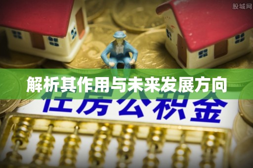 涞水解析其作用与未来发展方向