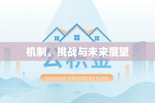 涞水机制、挑战与未来展望