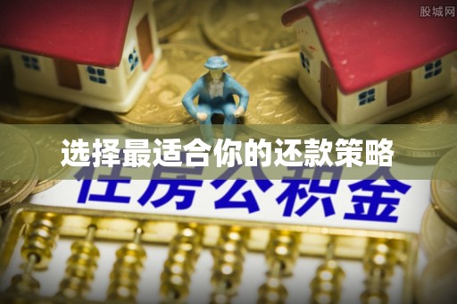 涞水选择最适合你的还款策略