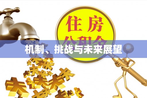 涞水机制、挑战与未来展望