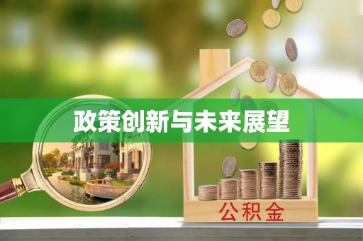 涞水政策创新与未来展望