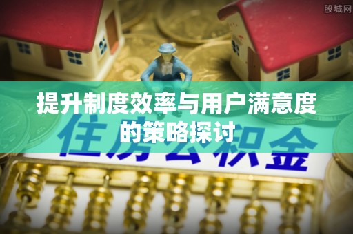 涞水提升制度效率与用户满意度的策略探讨